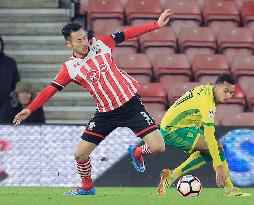 Southampton beat Norwich City in FA Cup 3rd round replay