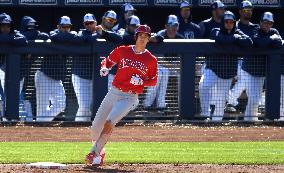 Baseball: Ohtani's DH debut in spring training