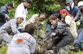 "Ex-delinquent" volunteers offering durable help to tsunami-hit areas