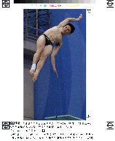 Xiong_springboard_dive_Sydney
