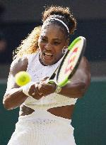 Tennis: Wimbledon championships