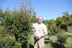 Australian flowers a blooming success in Asia