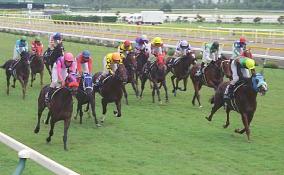 JRA pays highest cash prize