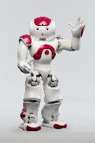 Japanese bank group eyes IBM's humanoid robot for customers