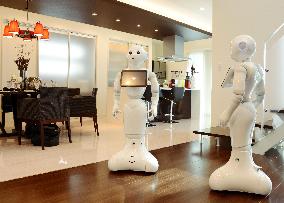 "Pepper" robots installed at housing showroom