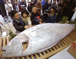 Large tuna offered at Nishinomiya Shrine