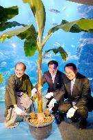 Kyoto zoo, botanical garden, aquarium form alliance
