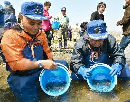 Fishermen release salmon fry in Fukushima river