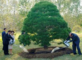 S. Korea's Roh plants tree in Pyongyang garden