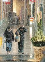 Tokyo gets winter's first snow