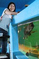 Tourist at aquarium in Fukuoka Pref. feeds fish