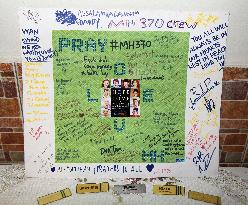 Group efforts for lost Malaysian aircraft