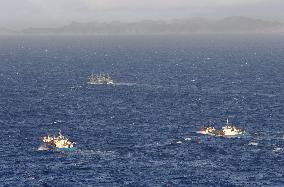 Suspected poaching of red coral