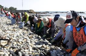 Volunteers join search for people missing in 2011 tsunami