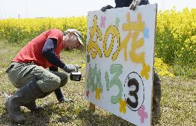 Volunteers creating huge field maze in quake-hit Fukushima city