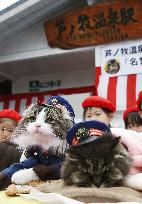 Another cat appointed to succeed Bus the stationmaster