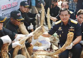 Thailand makes largest seizure of smuggled African ivory