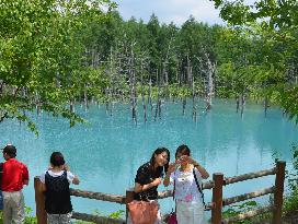'Blue Pond' in Biei, Hokkaido