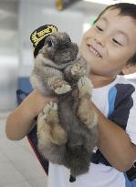 Kid holds rabbit stationmaster Rabitama in Saitama