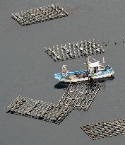 Tsunami hits aquafarming off Miyagi Pref.