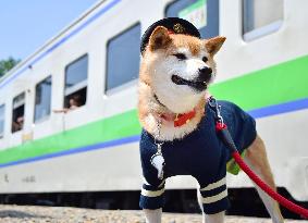 "Dog stationmaster" in Hokkaido gaining attention
