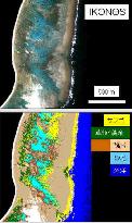 Satellites used to study coral bleaching