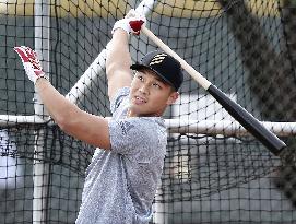 Baseball: Wang Po-jung in Arizona