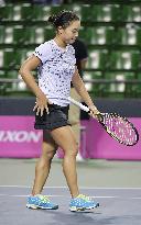 Tennis: Cepelova comeback ousts Nara from Japan Women's Open