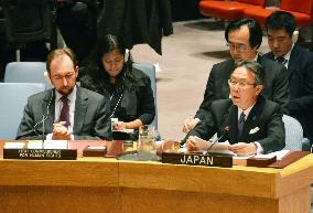 UNSC discusses N. Korea's human rights situation