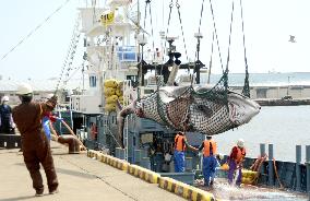 Commercial whaling in Japan