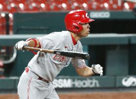 Baseball: Reds v Cardinals