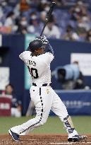 Baseball in Japan