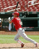 Baseball: Reds v Cardinals