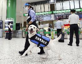 Sniffer dog at Tokyo train station