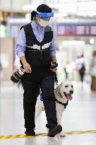 Sniffer dog at Tokyo train station