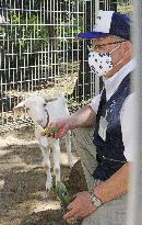 Rescued stray goat shown to public