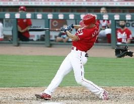 Baseball: Cubs v Reds