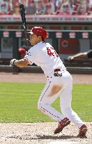 Baseball: Cubs v Reds