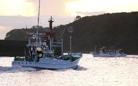1st dolphin hunt of season starts in western Japan