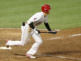 Baseball: Astros v Angels