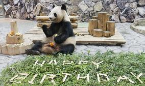 Giant panda marks 20th birthday in Japan
