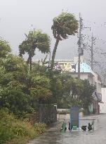 Powerful typhoon approaches Japan