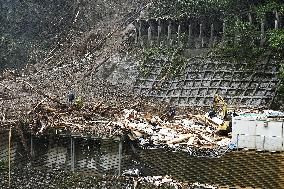 Powerful typhoon slams southwestern Japan