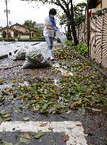 Powerful typhoon slams southwestern Japan