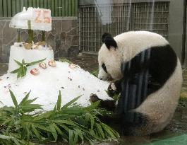 Giant panda in western Japan on her 25th birthday