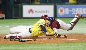 Baseball in Japan