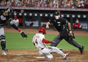 Baseball: White Sox v Reds