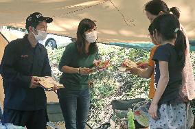 Search for missing girl in Japan