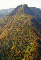 Autumn leaves in northern Japan mountains