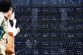 Tokyo stock trading stops due to system glitch